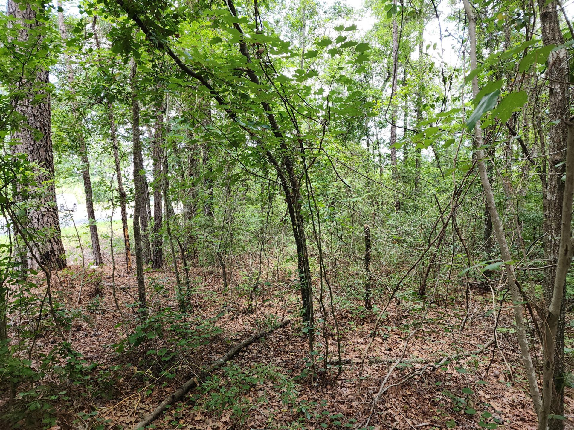 019 Thomas Kate Road Photo 26