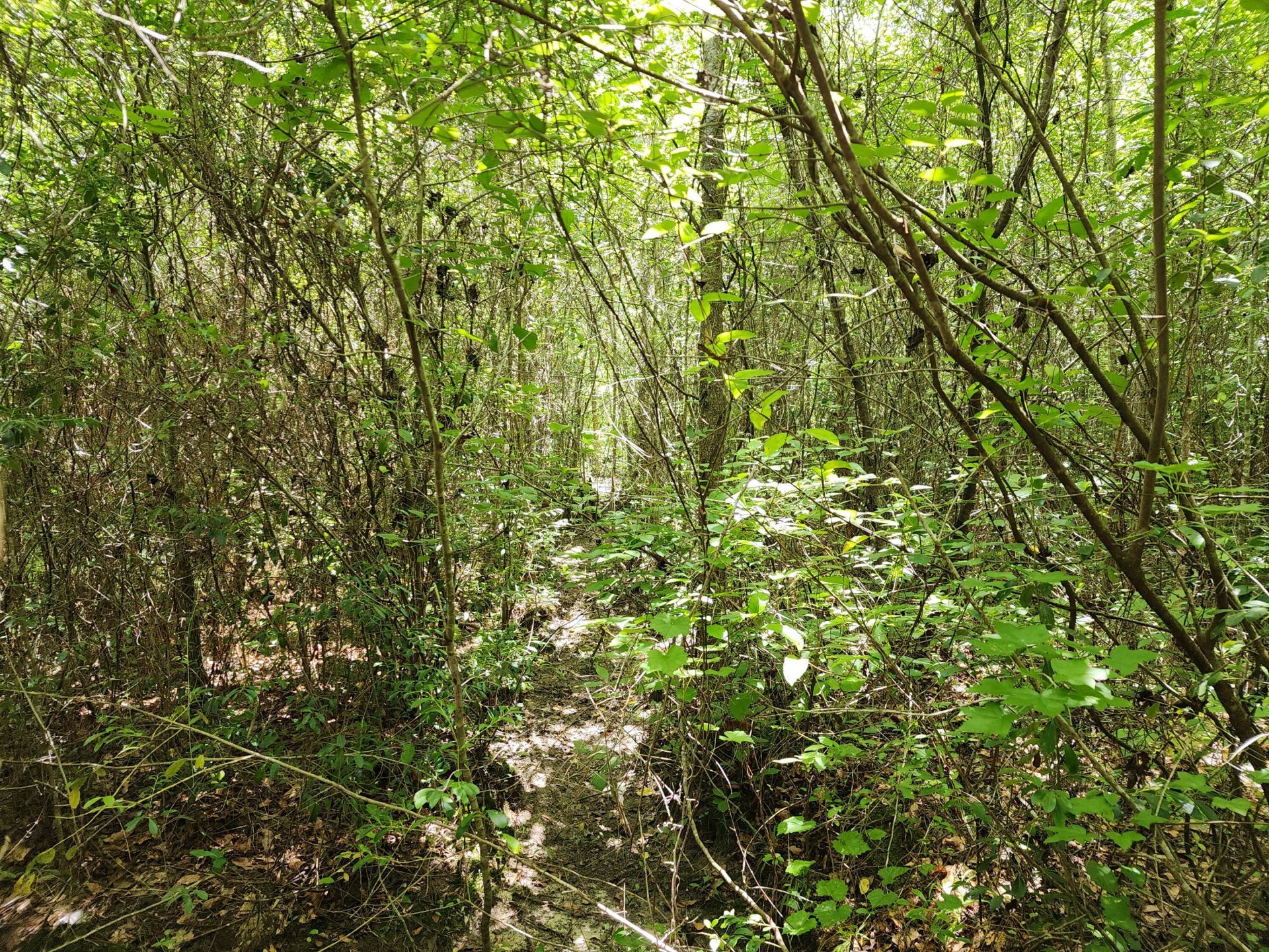 019 Thomas Kate Road Photo 9