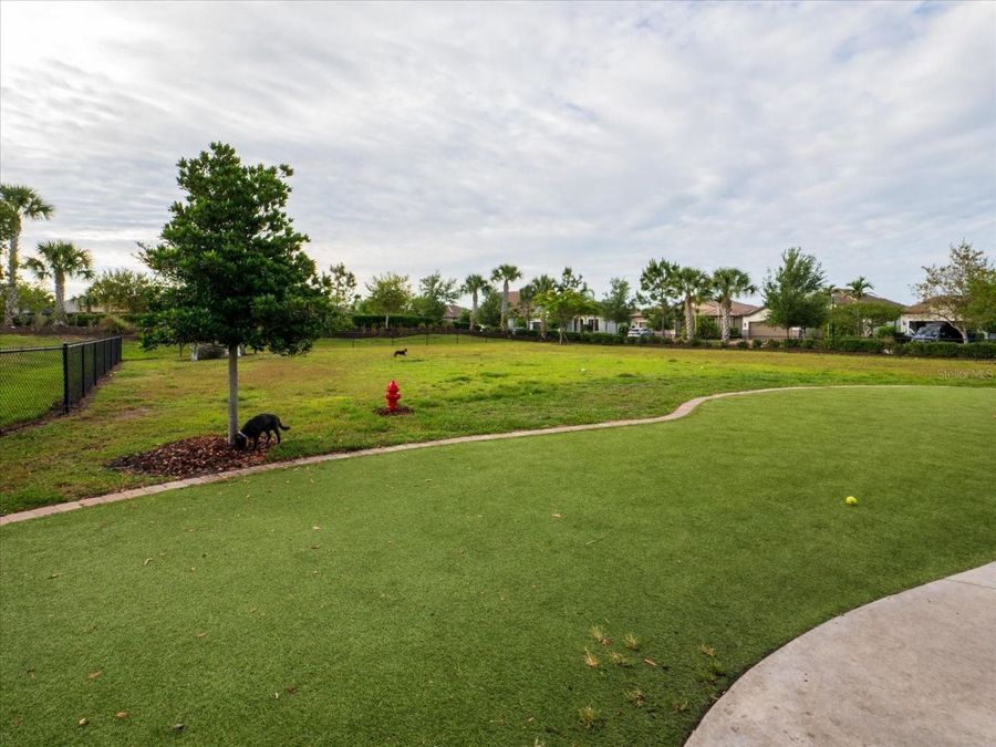 Property Image 66