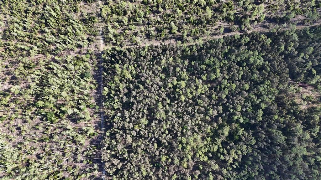 Please Call For Address, Naples, FL 34119 Photo