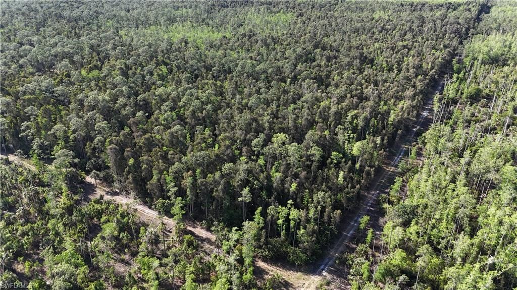 Please Call For Address, Naples, FL 34119 Photo