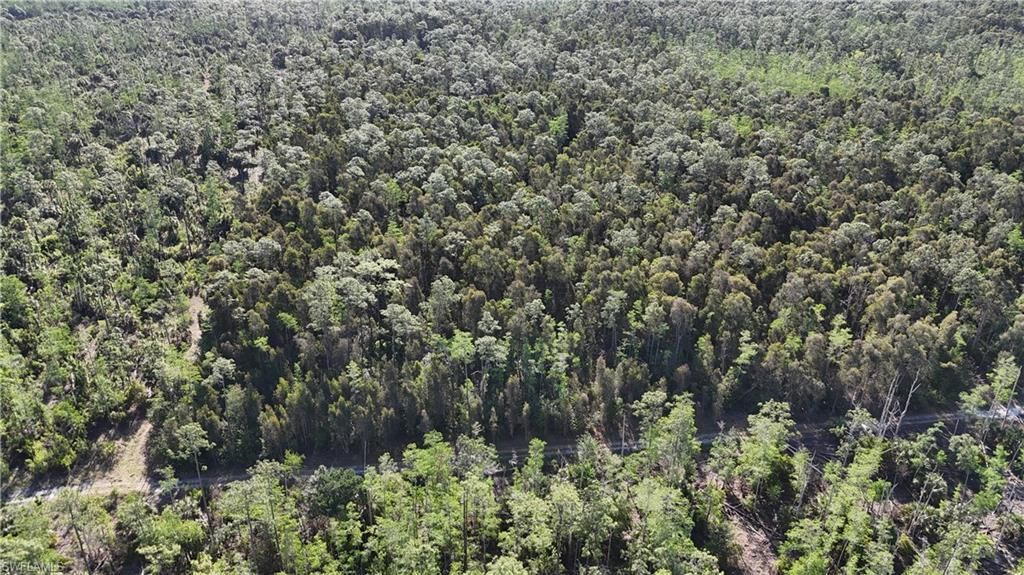 Please Call For Address, Naples, FL 34119 Photo