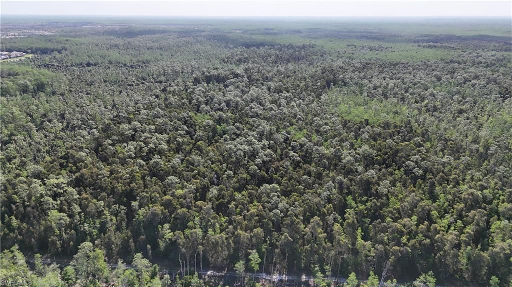 Please Call For Address, Naples, FL 34119 Photo