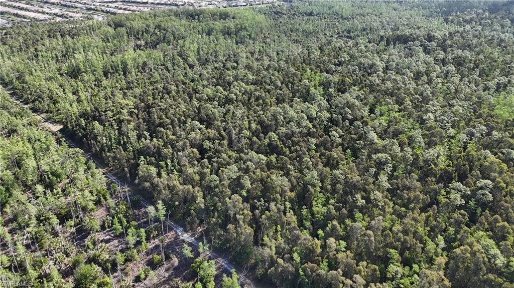 Please Call For Address, Naples, FL 34119 Photo