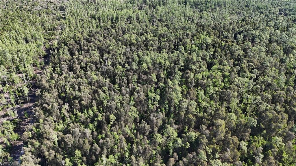 Please Call For Address, Naples, FL 34119 Photo