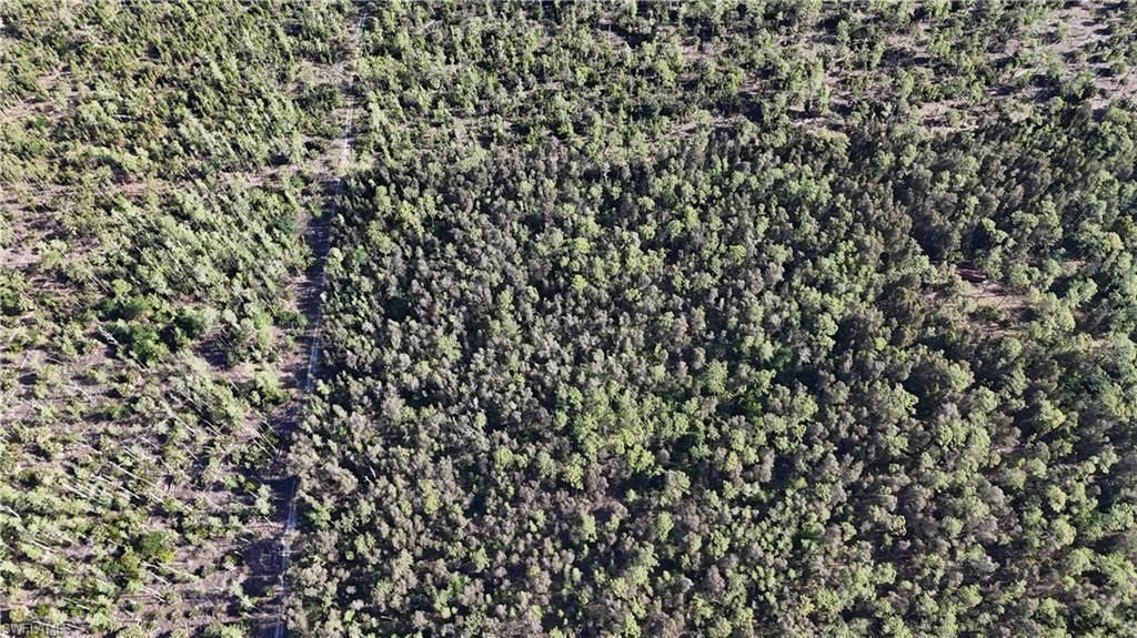 Please Call For Address, Naples, FL 34119 Photo