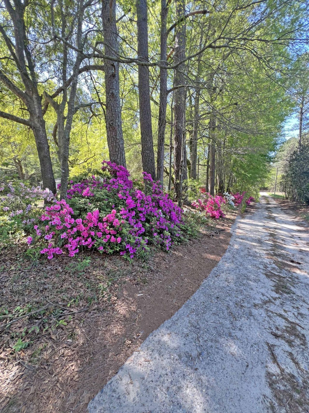 1525 Ethan Stone Road Photo 19