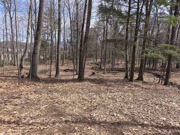 Mitchell Road, Thornton, NH 03223