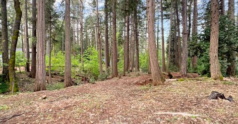 12834 Spanish Ln, Nevada City, CA 95959 Photo