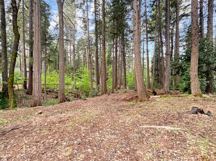 12834 Spanish Ln, Nevada City, CA 95959 Photo