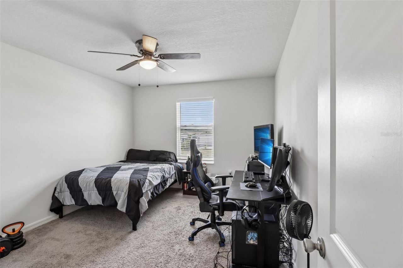 2082 Ficus Street , Mascotte, FL 34753 Photo