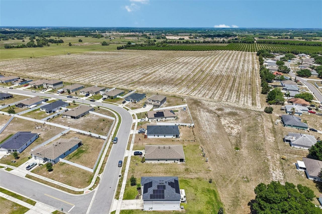 2082 Ficus Street , Mascotte, FL 34753 Photo