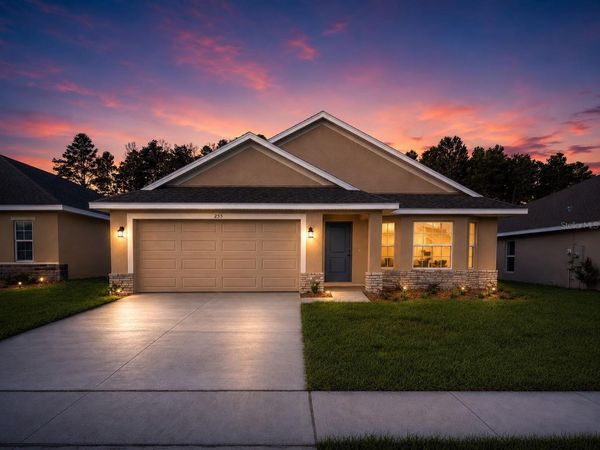 255 VERNY GROVE LANE, LEESBURG, FL 34748