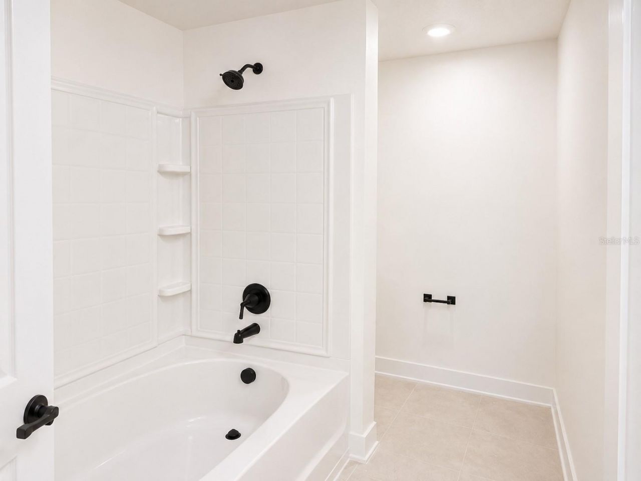 255 Verny Grove Lane, Leesburg, FL 34748 Photo