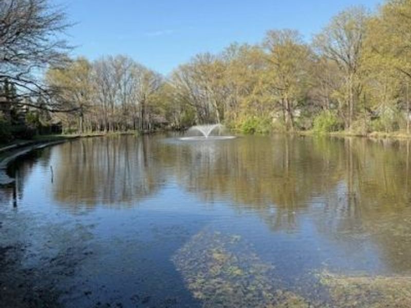 800 Brick Mill Run, Westlake, OH 44145 Photo 21