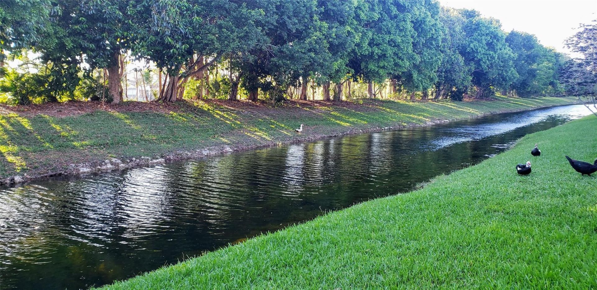 331 Lakeview Drive, Unit 206, Weston, FL 33326 Photo