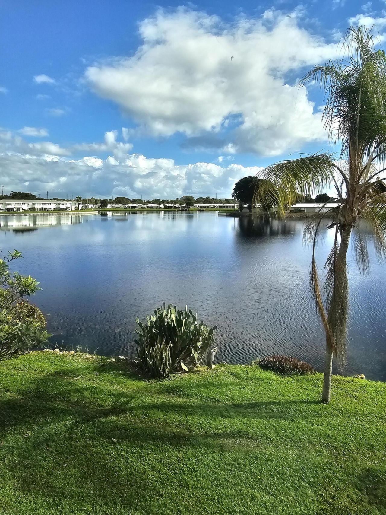 1118 Lake Terrace, Unit 217 H, Boynton Beach, FL 33426 Photo