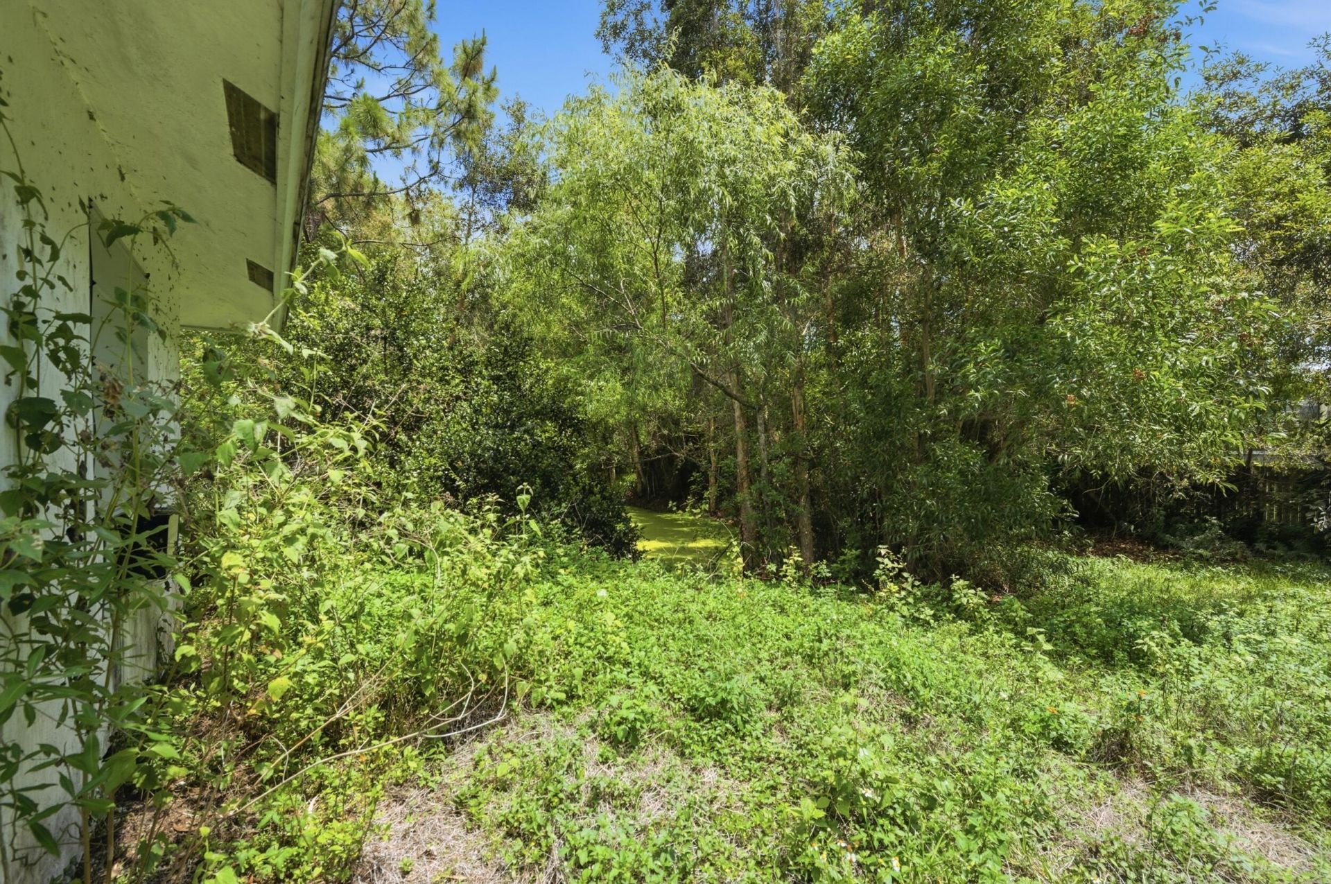 13174 N 41st Ln Lane N, The Acreage, FL 33411 Photo