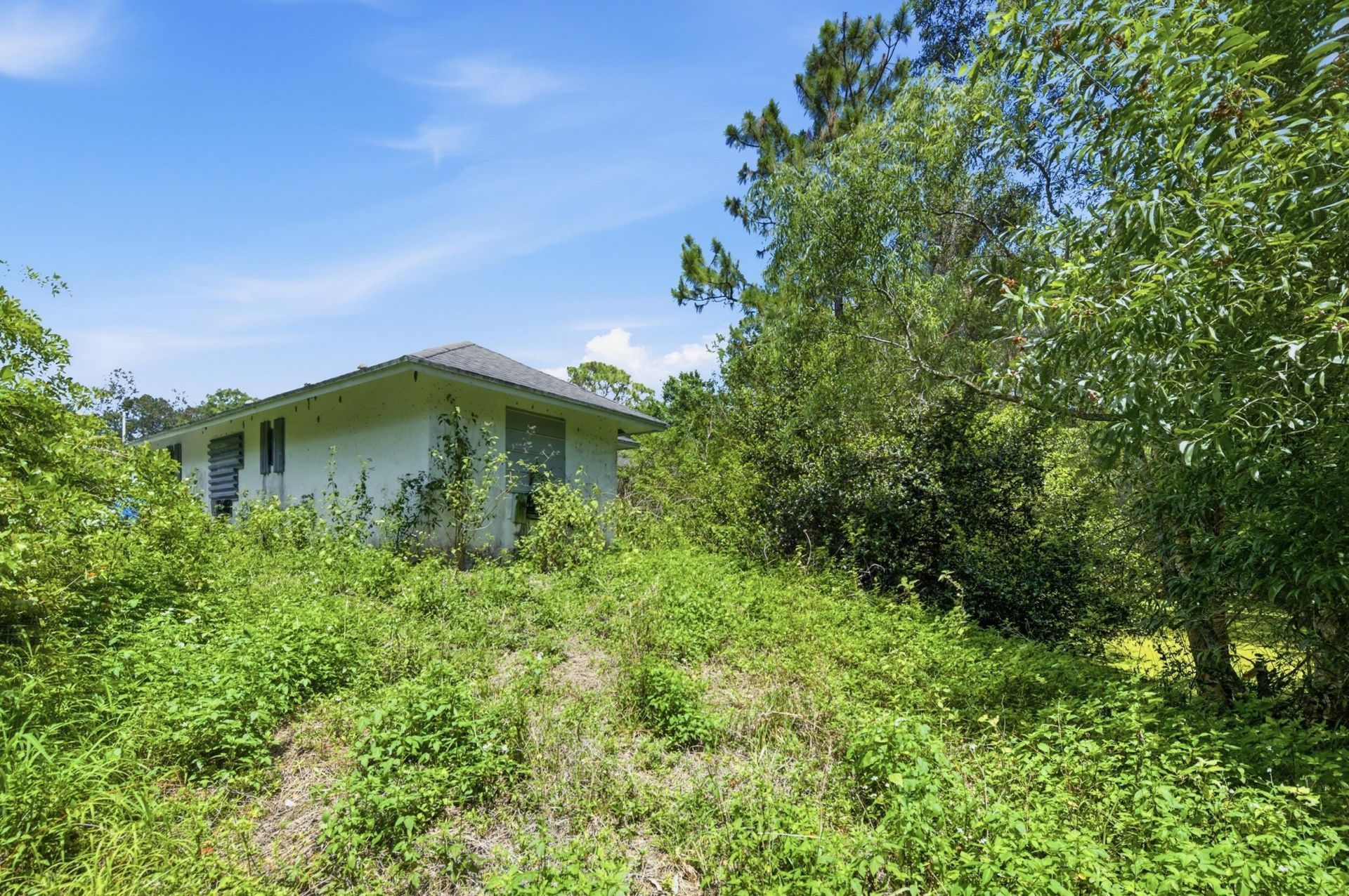 13174 N 41st Ln Lane N, The Acreage, FL 33411 Photo