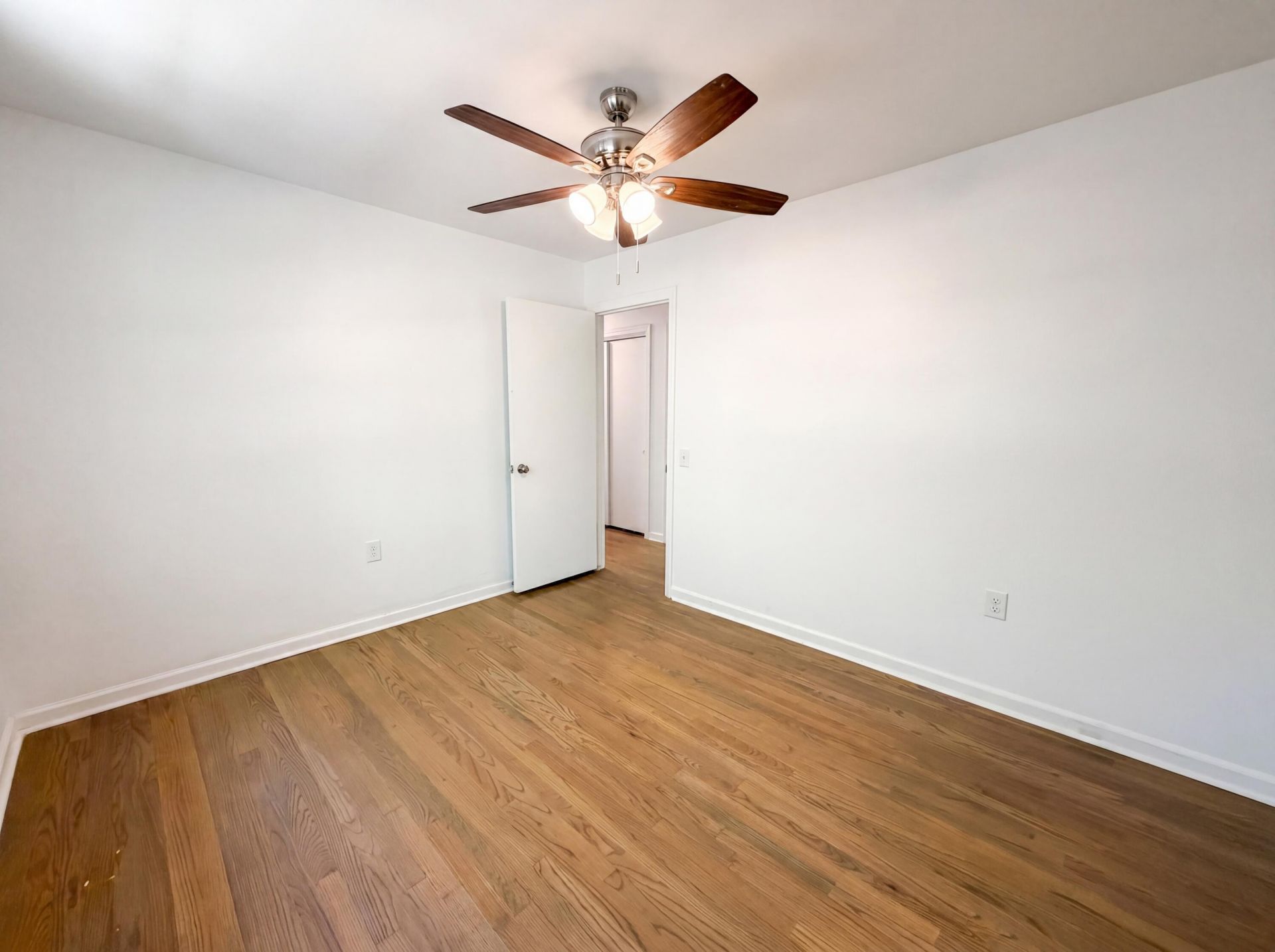 101 Picadilly Loop Photo 15