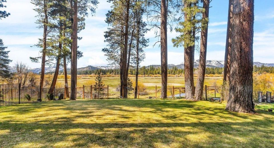 1076 Lodi Avenue, South Lake Tahoe, CA 96150 Photo