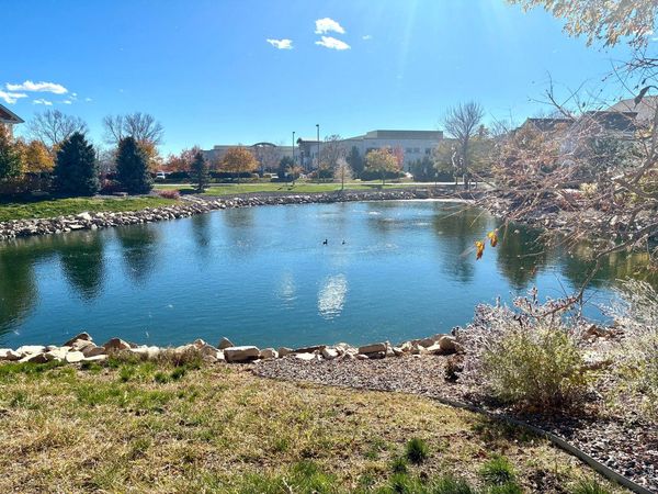 4835 Hahns Peak Dr, Unit 203, Loveland, CO 80538