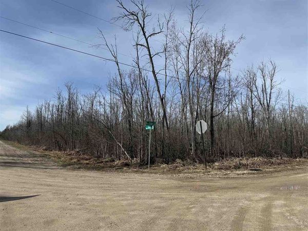 TBD Dekruif Road, Levering, MI 49755