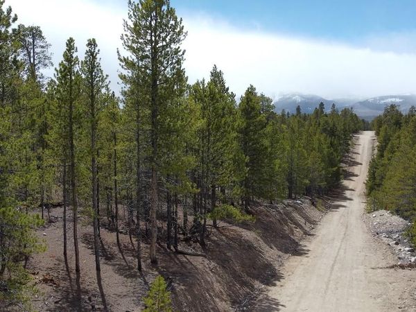 104 Spruce Drive , Twin Lakes, CO 81251