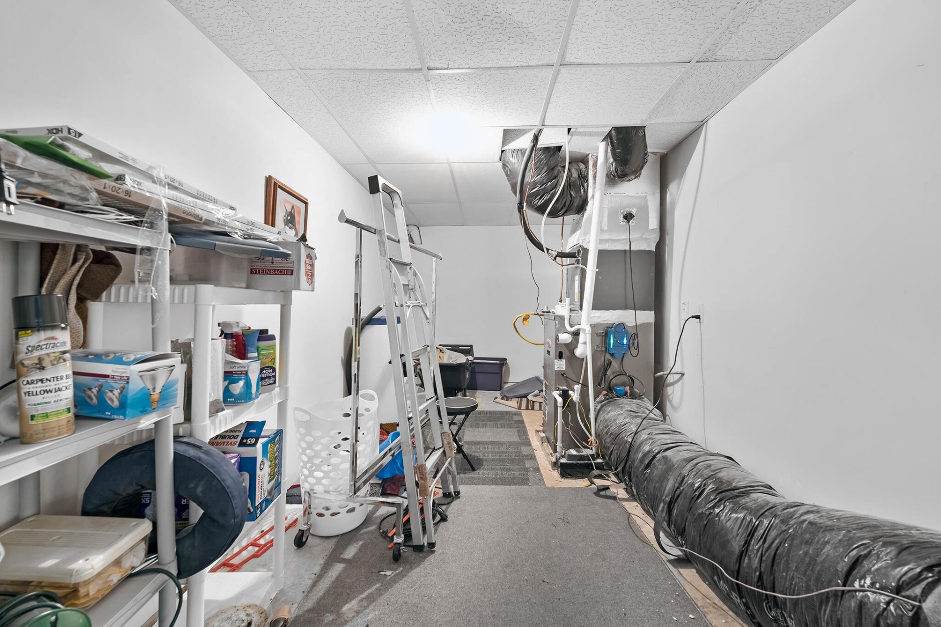 613 Clouds Way Photo 46