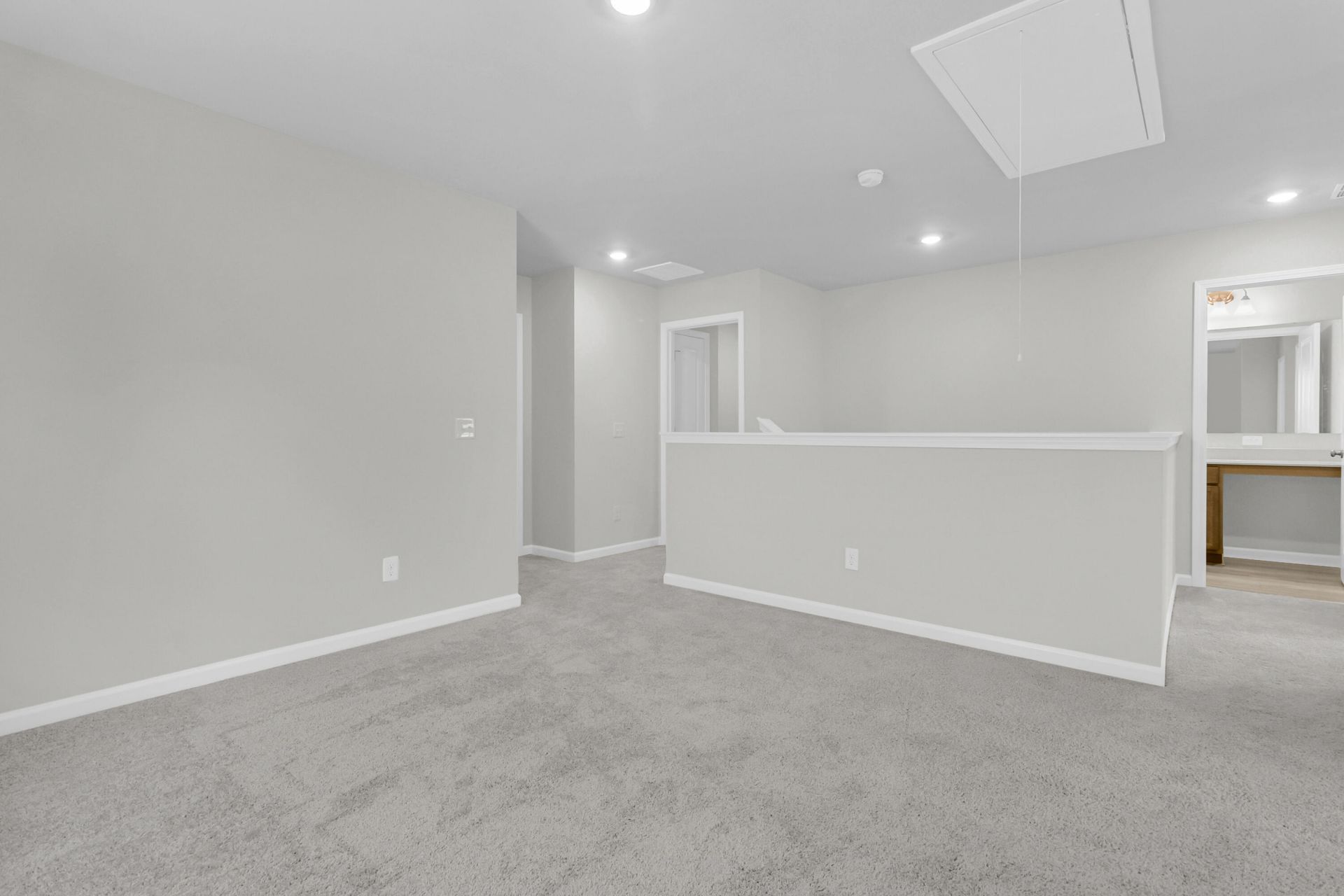 225 Central Creek Drive Photo 28