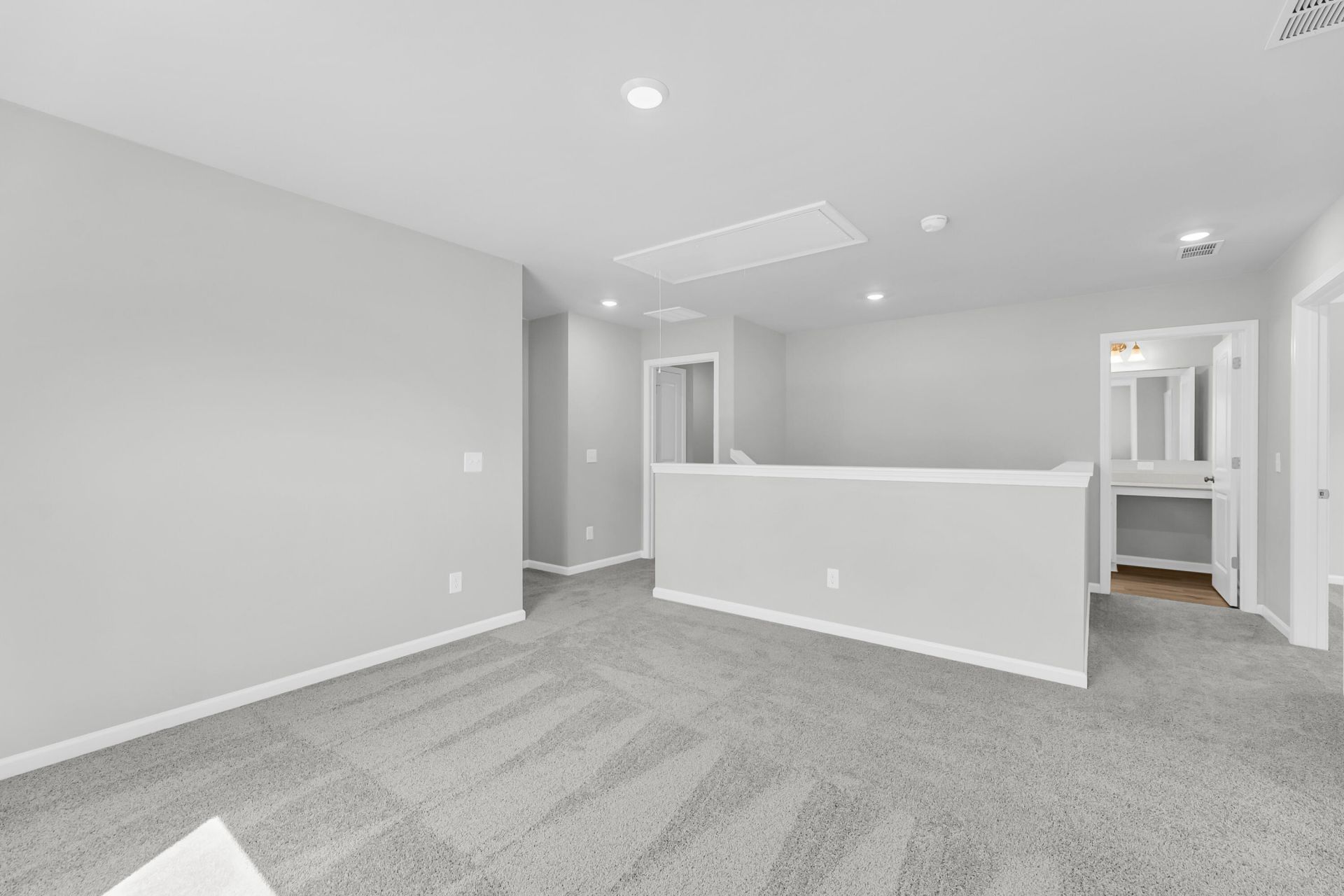 225 Central Creek Drive Photo 29