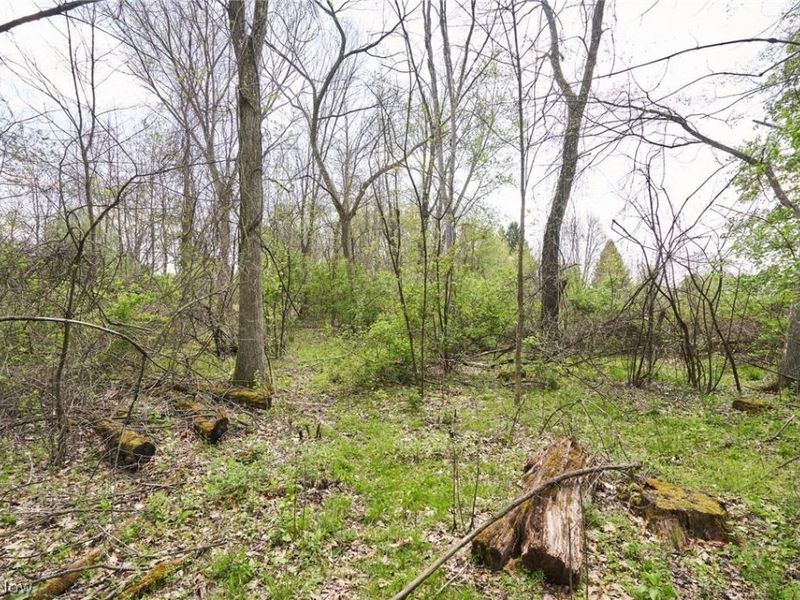 V/L Killian Road, Akron, OH 44312 Photo 6