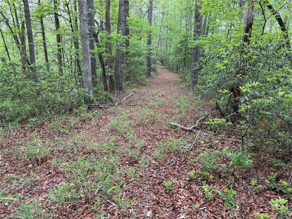Tbd West Ridge Road, Ferguson, NC 28624 Main Photo