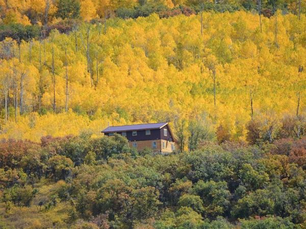 19645 Stoney Creek Road, Hotchkiss, CO 81419