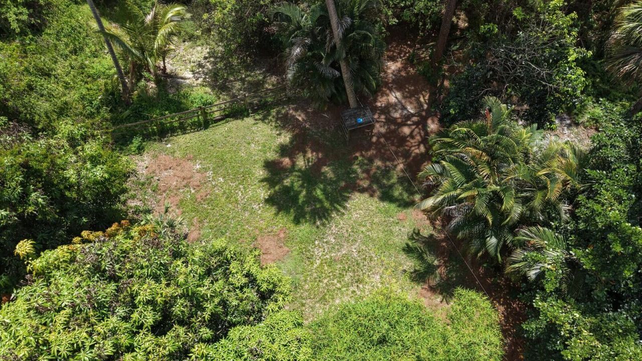 12566 Old Indiantown Road, Jupiter Farms, FL 33478 Photo