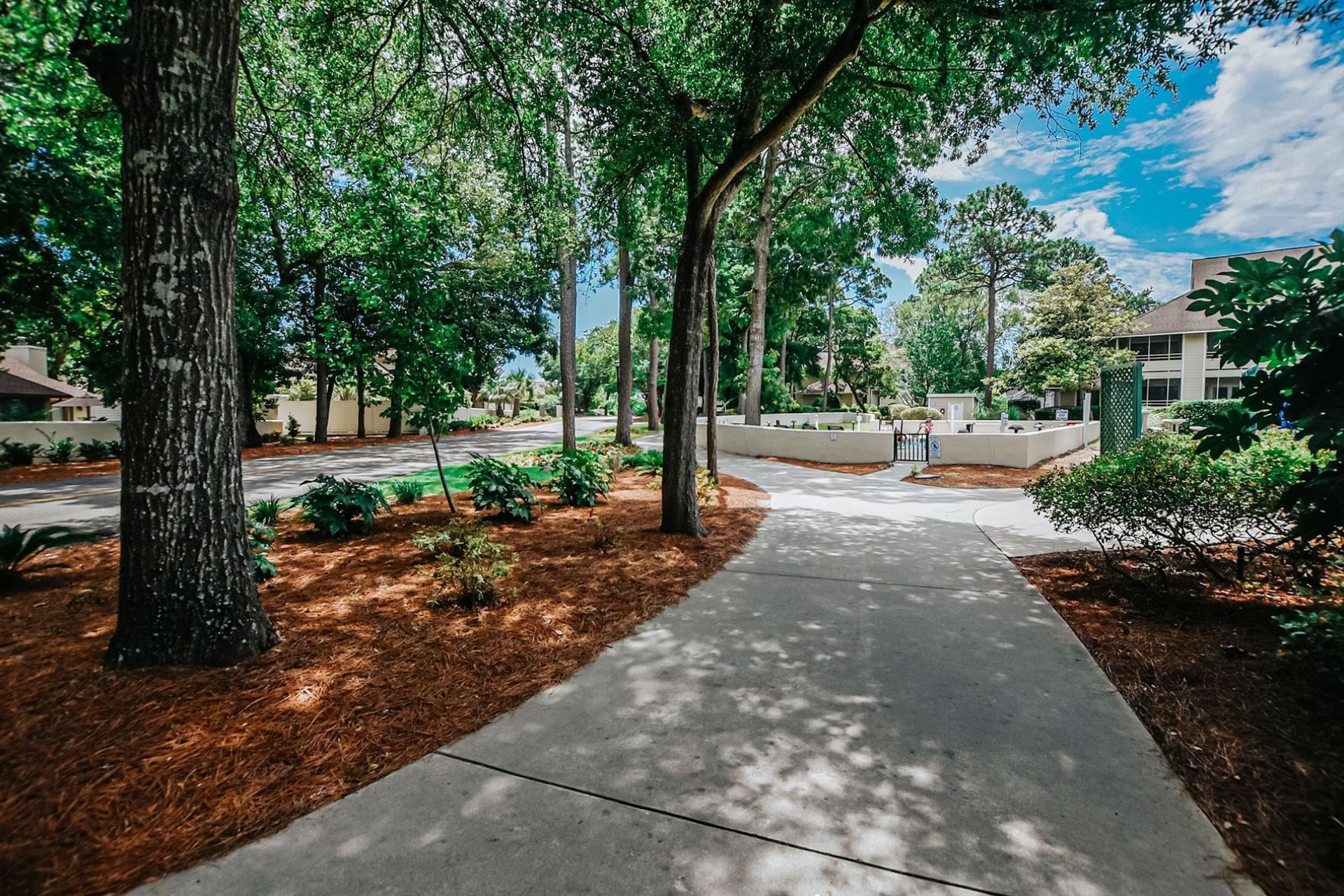 460 Ocean Creek Dr.  Photo 36