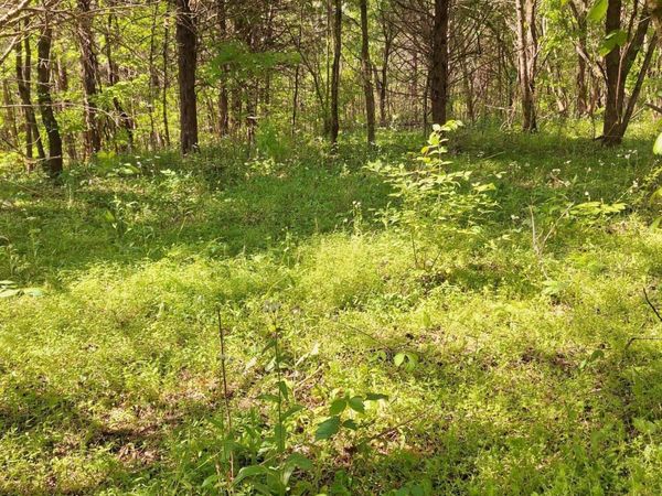 Payne Rd, Tellico Plains, TN 37385