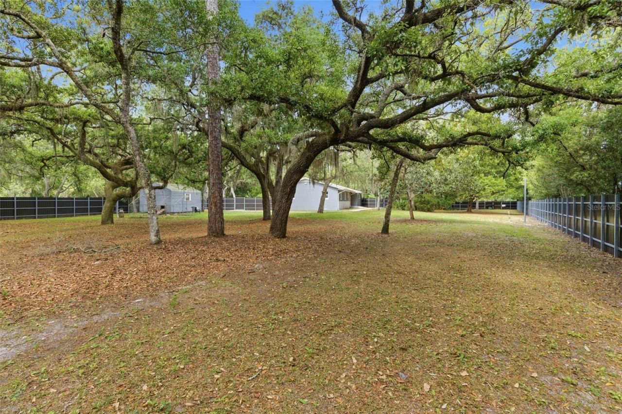 176 Lake Eva Drive, Chuluota, FL 32766 Photo