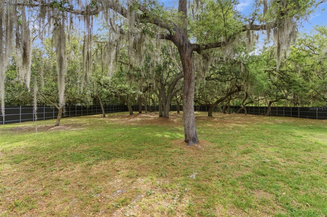176 Lake Eva Drive, Chuluota, FL 32766 Photo