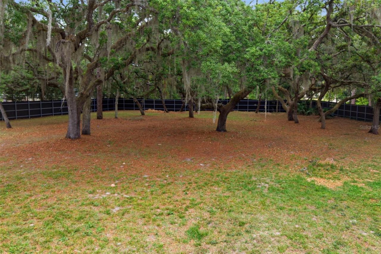 176 Lake Eva Drive, Chuluota, FL 32766 Photo
