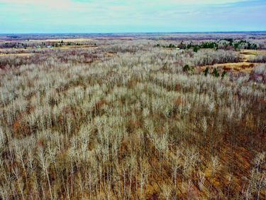 NA Beaver Claw Rd , Brook Park, MN 55007