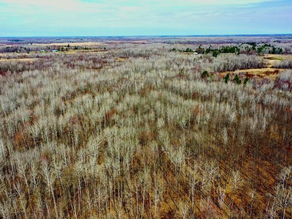 NA Beaver Claw Rd , Brook Park, MN 55007