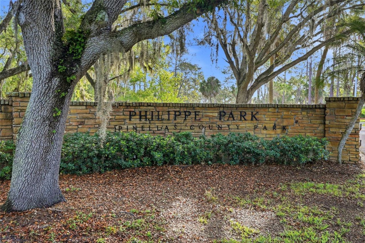 2376 Rajel Avenue, Safety Harbor, FL 34695 Photo