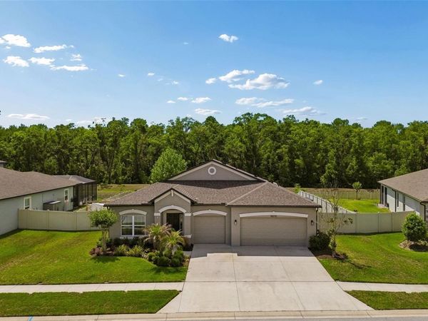 18078 ROMANESQUE COURT , SPRING HILL, FL 34610