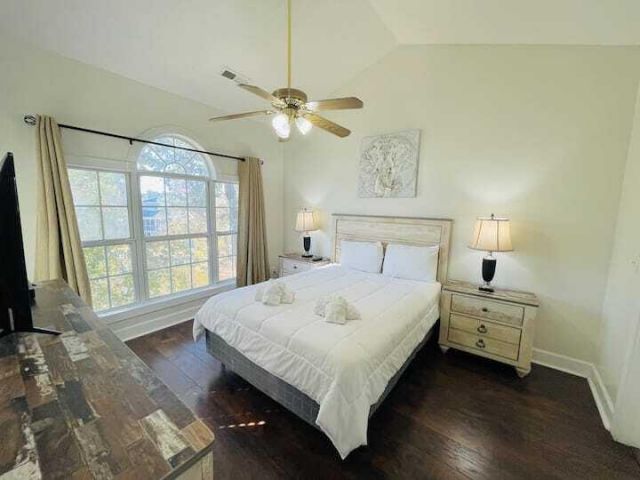 4631 Wild Iris Drive Photo 10