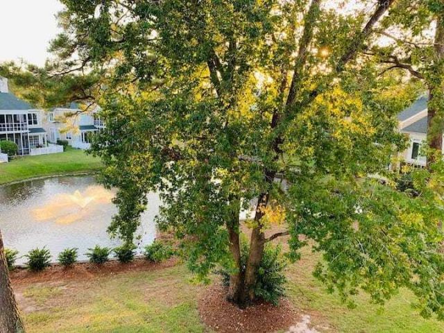 4631 Wild Iris Drive Photo 26
