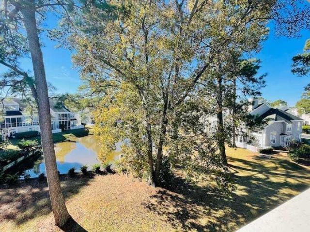 4631 Wild Iris Drive Photo 30