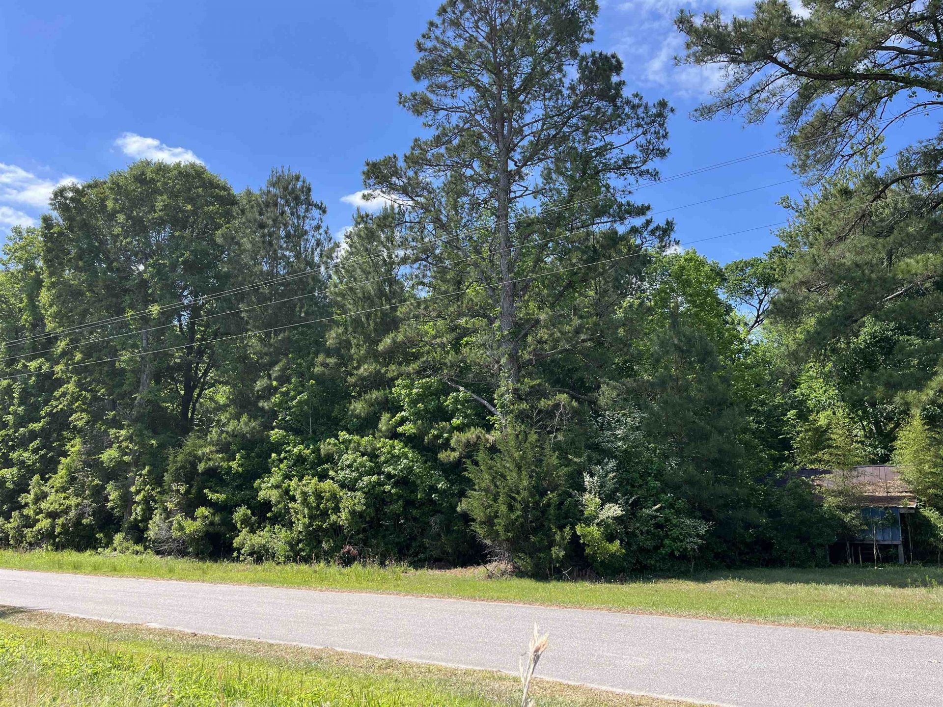 5453 Old Highway 472, Conway, SC 29526 Main Photo