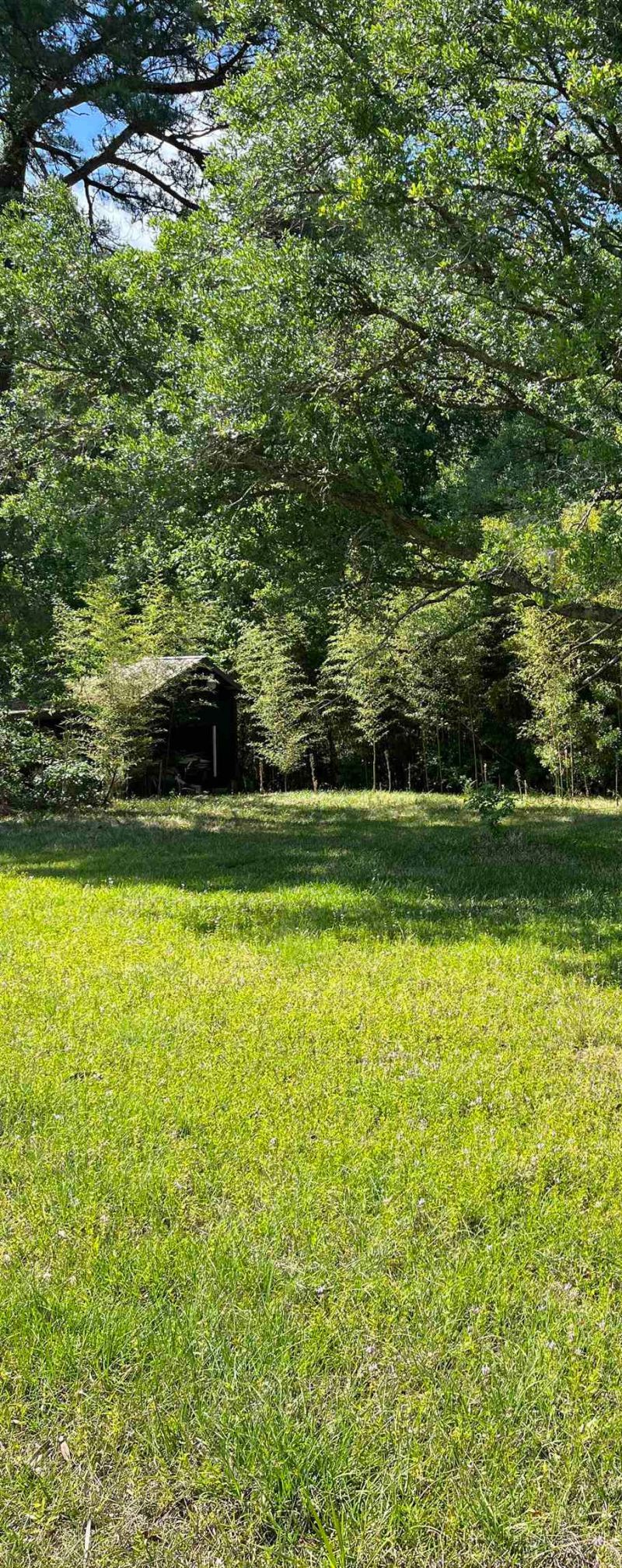 5453 Old Highway 472 Photo 3