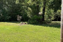 5453 Old Highway 472 photo 4